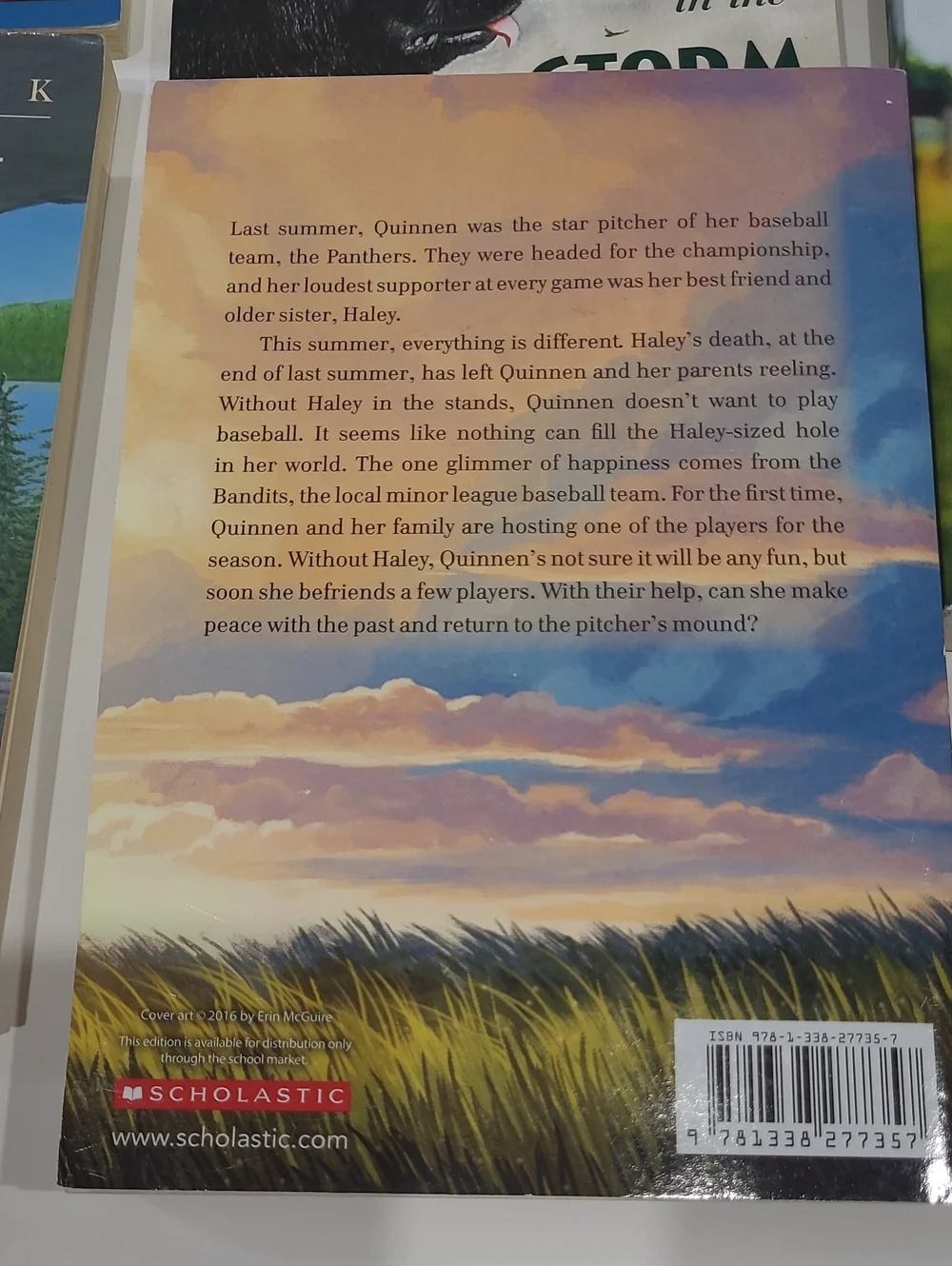 12 Assorted Chapter Books For Young Readers - Picture 3 of 13